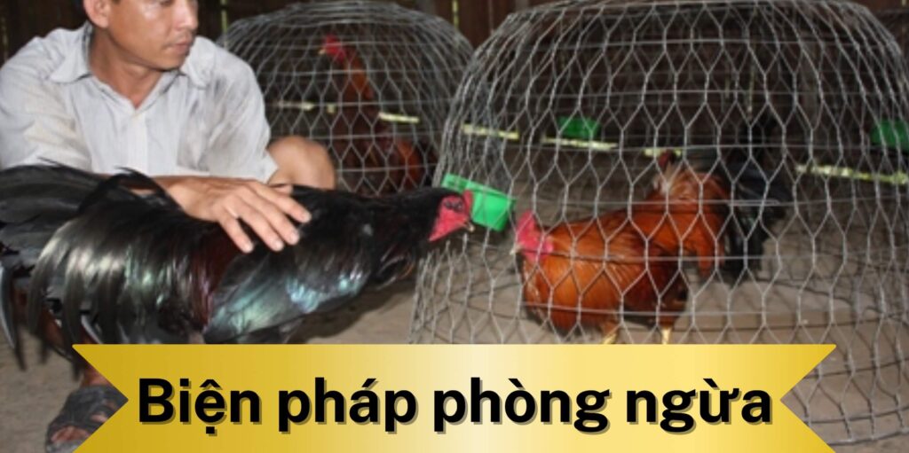 Các biện pháp phòng ngừa