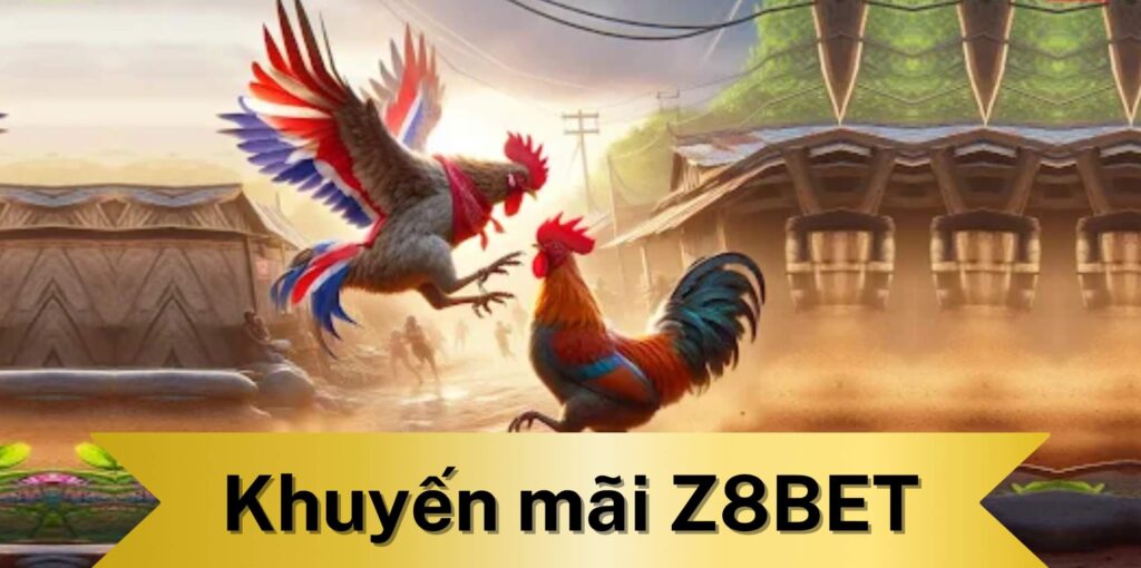 Khuyến mãi dành riêng cho dân mê đá gà