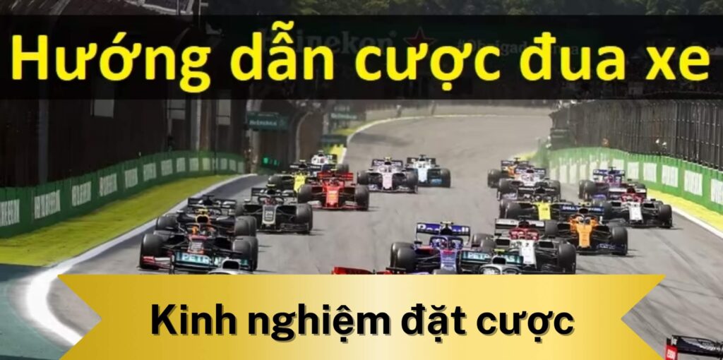 Kinh nghiệm đặt cược thời gian vòng đua nhanh nhất