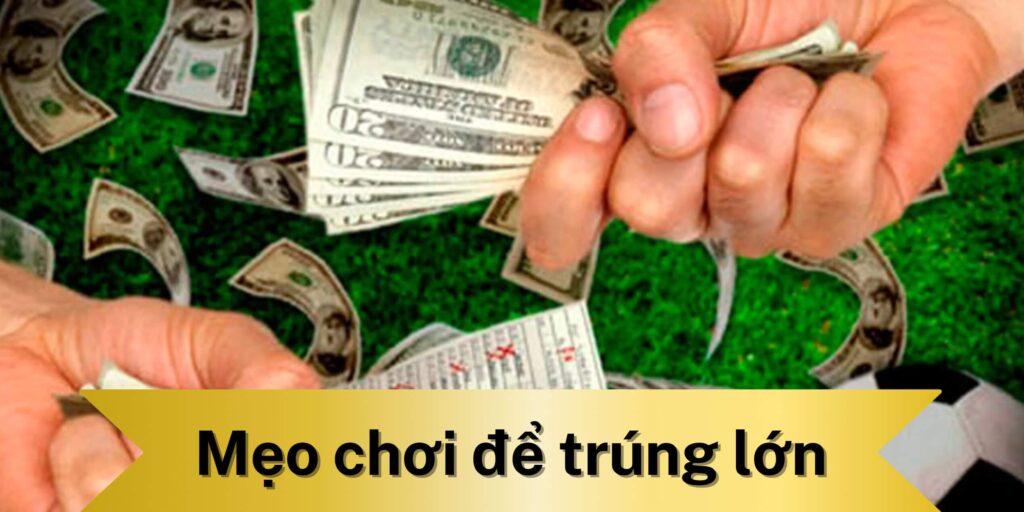 Mẹo chơi cá cược để trúng lớn